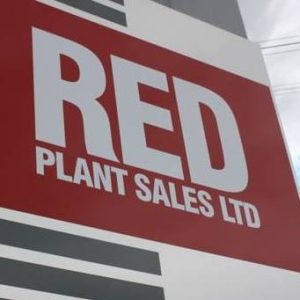 red_plant-sales